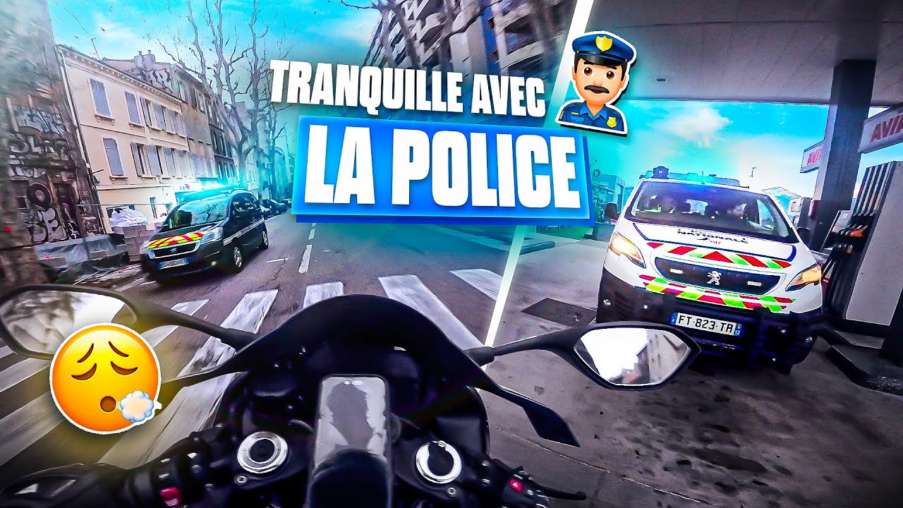 ILS SONT DE PARTOUT ! | Daily Observation #59