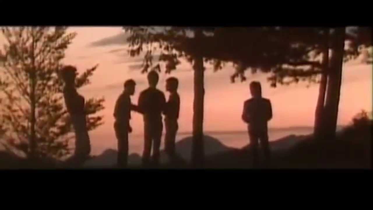 CMs