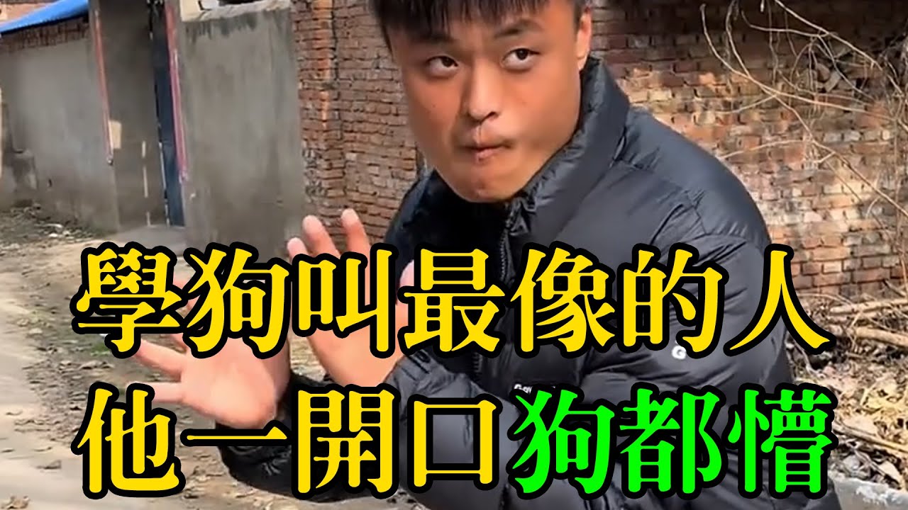 全網學狗叫最像的人，只要他一開口狗都懵了&nbsp;#動物的迷惑行為&nbsp;&nbsp;#養狗的樂趣&nbsp;&nbsp;#狗狗的心思都寫在臉上