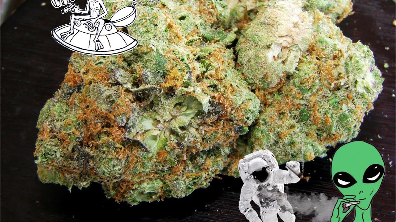 ALIEN OG REVIEW!