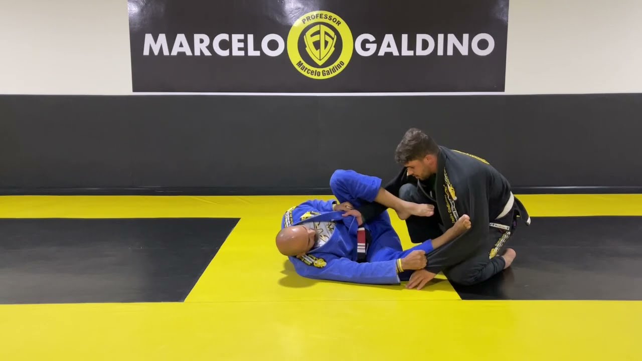 Quatro variações top guarda Laçada com Aranha