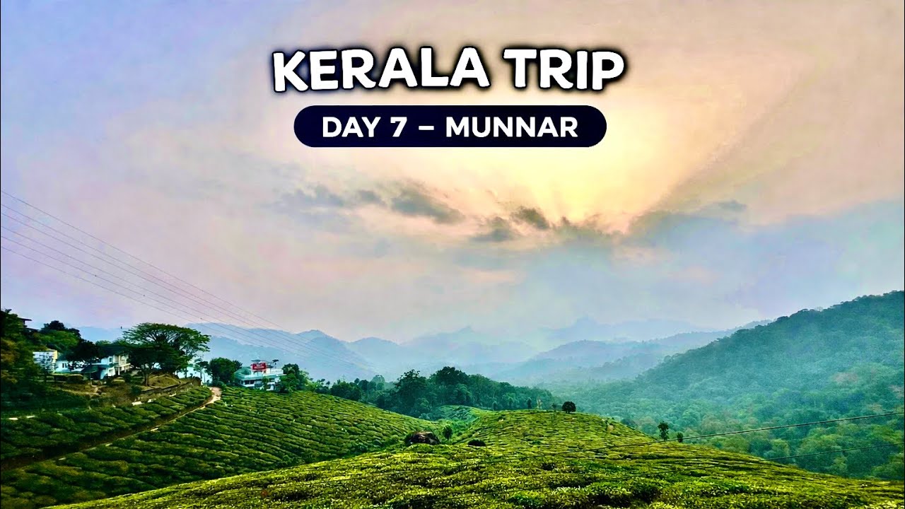 Kerala Trip - Day 7 - #Munnar #keralatrip#travel#teagarden#munnar#kerala#elephantride#greenkerala 