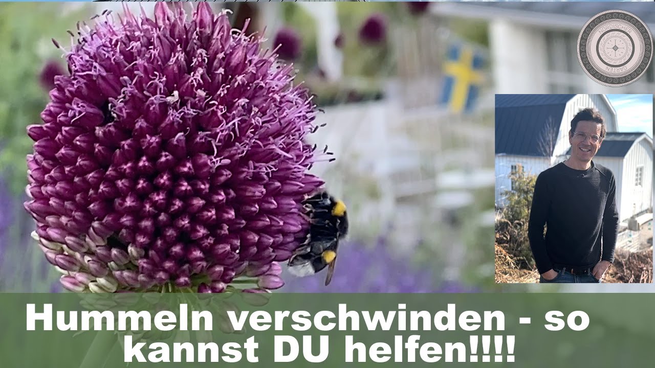 Hummeln schützen im eigenen Gartenn, Tipp für steile Böschungen, Hang  ansäen