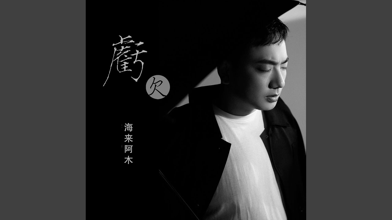 亏欠 (DJ沈念版)