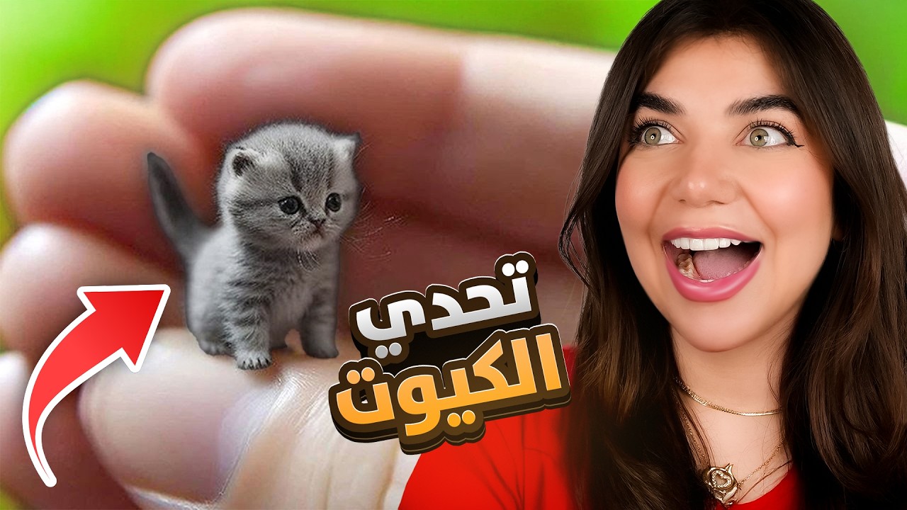 اكثر مقاطع كيوت عالانترنت 