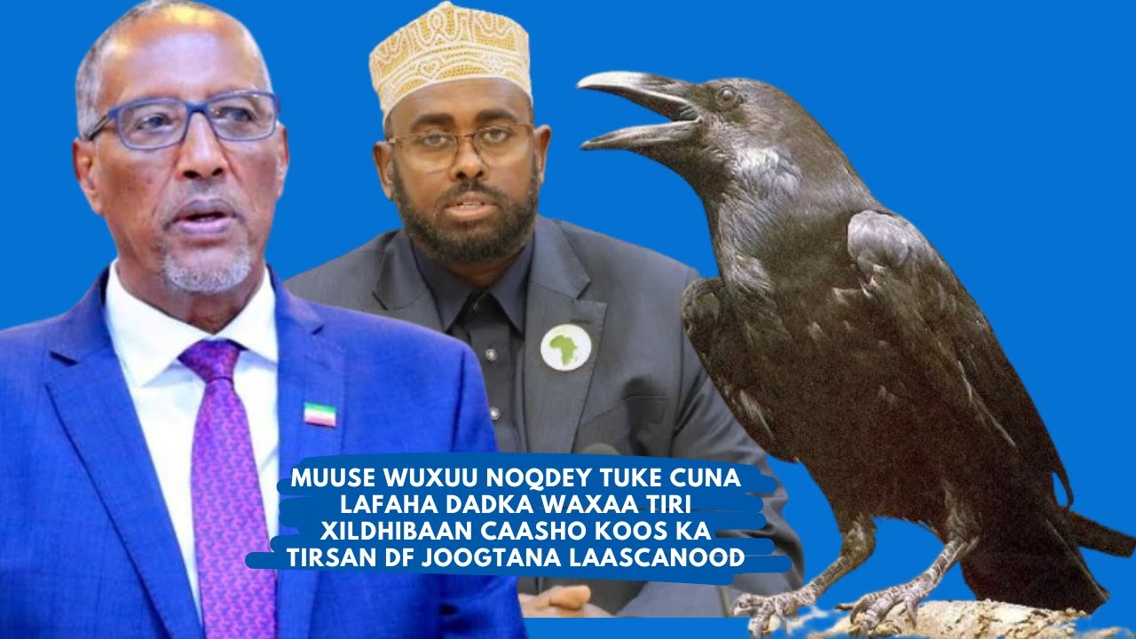 Muuse wuxuu noqdey Tuke waxaa tiri Xildhibaan Caasho Koos ka tirsan DF joogtana Laascanood