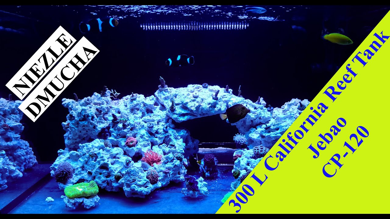 Unboxing Jebao WaveMaker | 300 L Reef Tank ~ Greenhorn Reefer