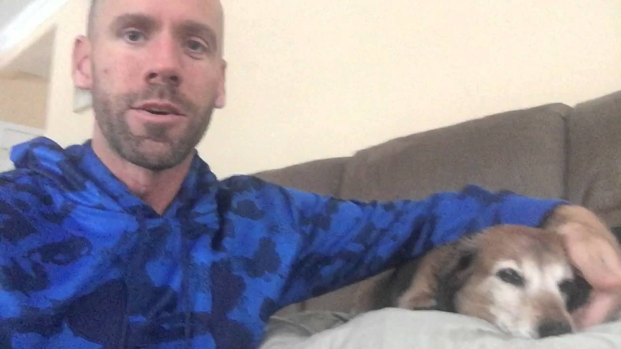 How to Stop A Reverse Sneeze in Your Dog!