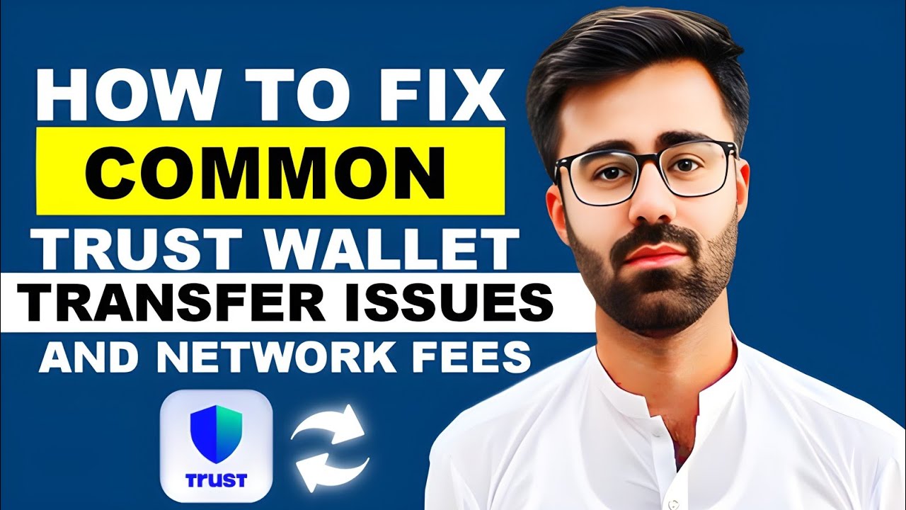How To Fix Common Trust Wallet Transfer Issues And Network Fees 