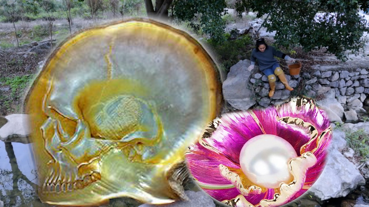 💋🥰  The girl's favorite green clam oyster, collecting precious pearls with both hands