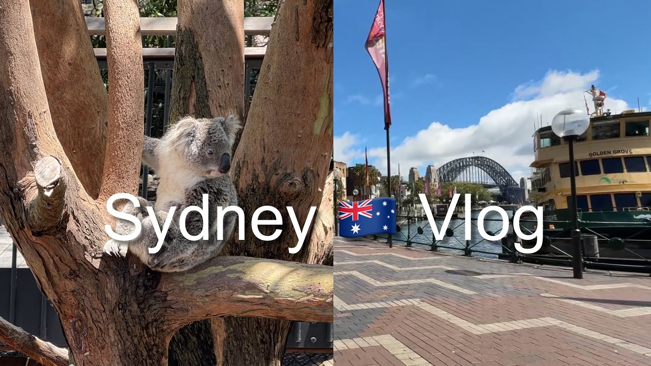【週末海外】有休1日でシドニーへ🇦🇺 EP.2 | コアラ🐨の癒やし、ハーバー散歩
