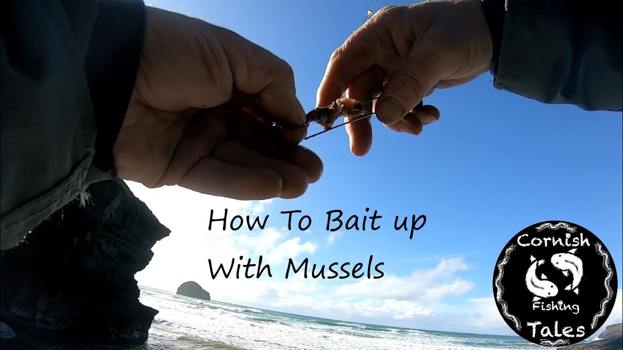 How To Use Mussels as Bait