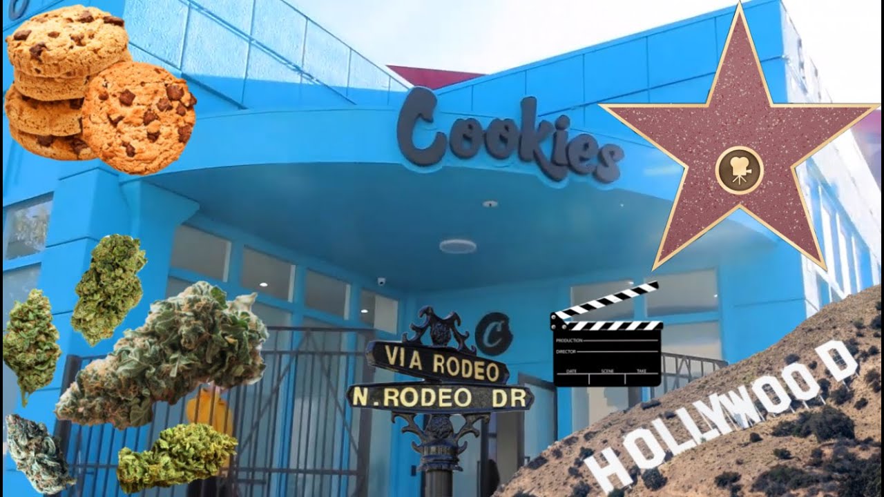 BERNER&rsquo;S COOKIES ON MELROSE x HOLLYWOOD WALK OF FAME