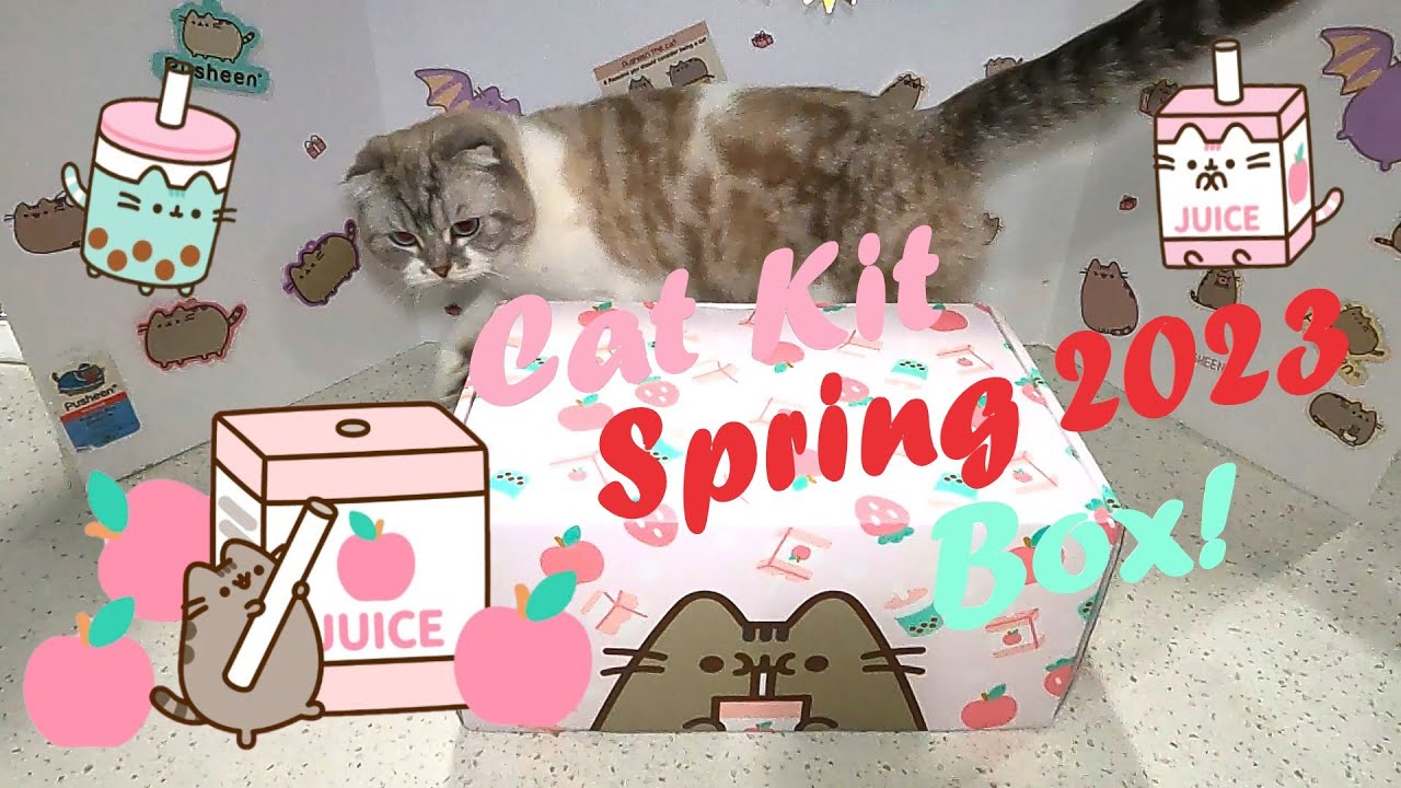 🧃 Cat Kit Spring 2023 Subscription Box!