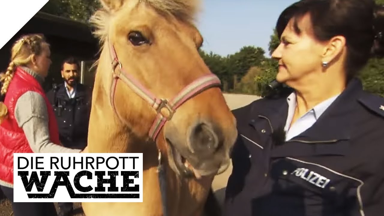 Pferd flüchtet aus Stall: Ist hier ein Tierquäler am Werk? | | Die Ruhrpottwache | SAT.1 TV