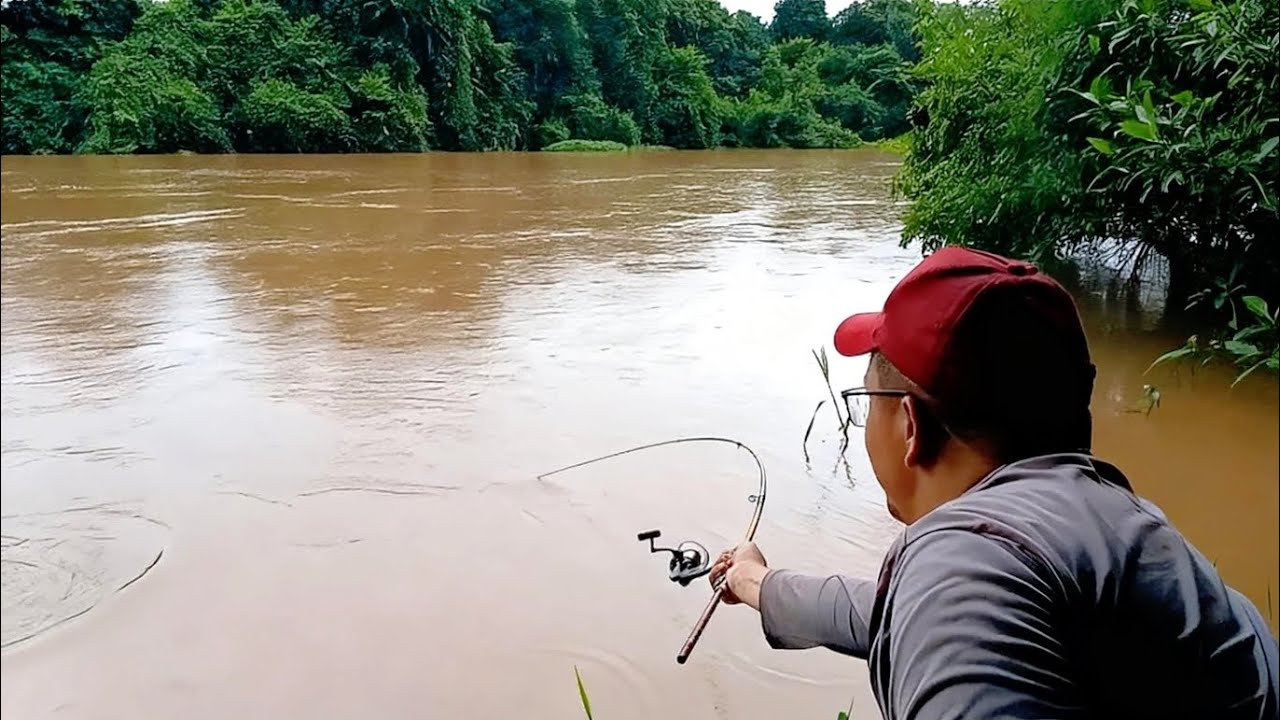 NUNCA VIMOS TANTO PIAU AÇU NA CEVA! OLHA ESSA BRIGA! pescaria de piau açu.
