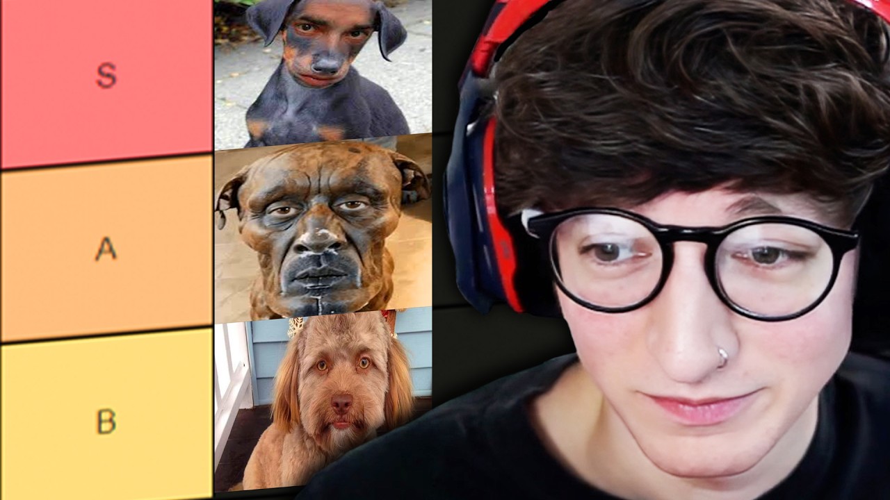 Viewer Pet Tier List (Full)