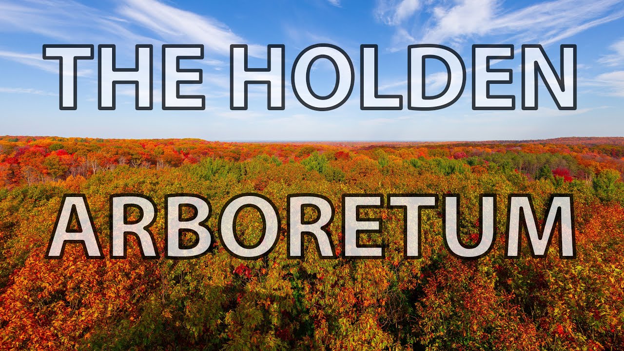 The Holden Arboretum - The Best Place For Fall Colors and Autumn in Cleveland? Cleveland Love - E07