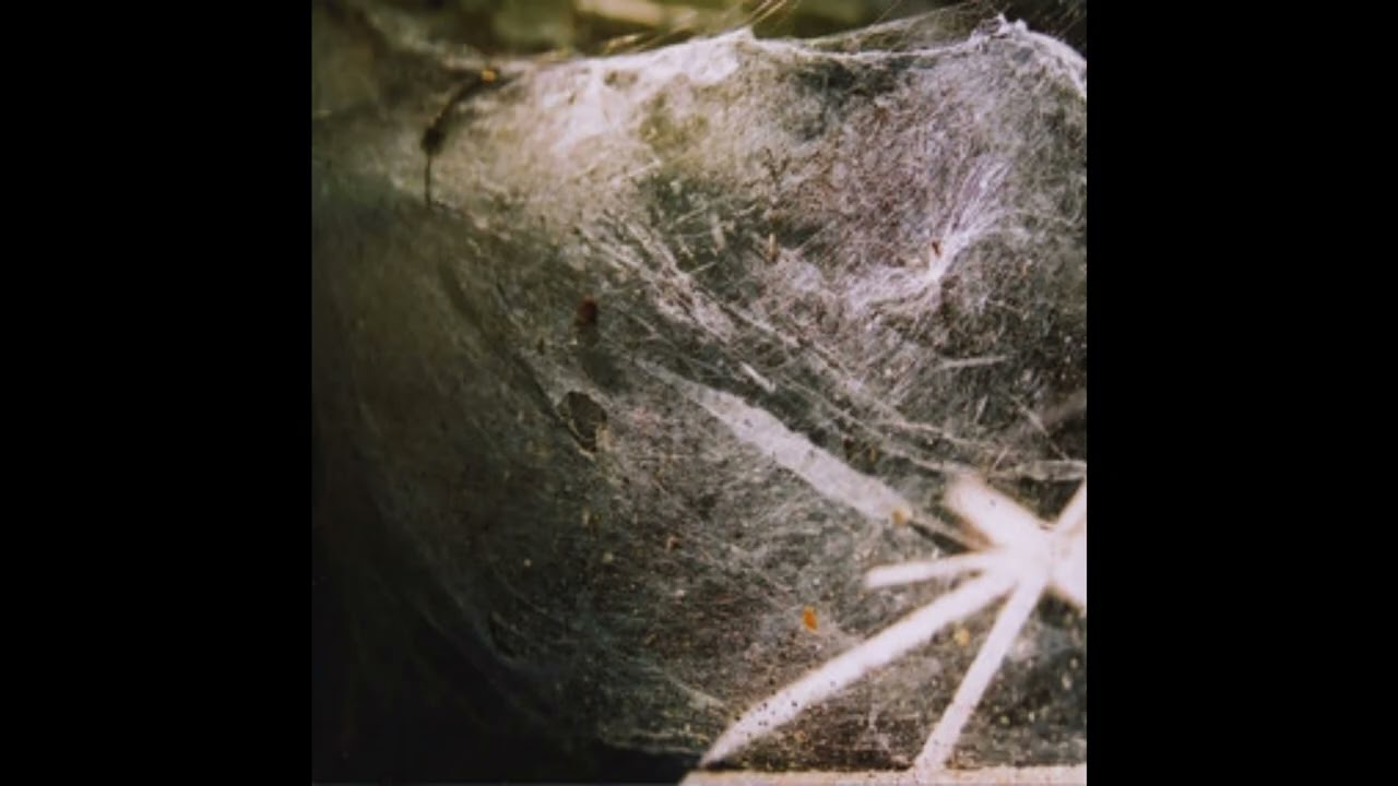 Vakhchav - Hunting Horns (2008)