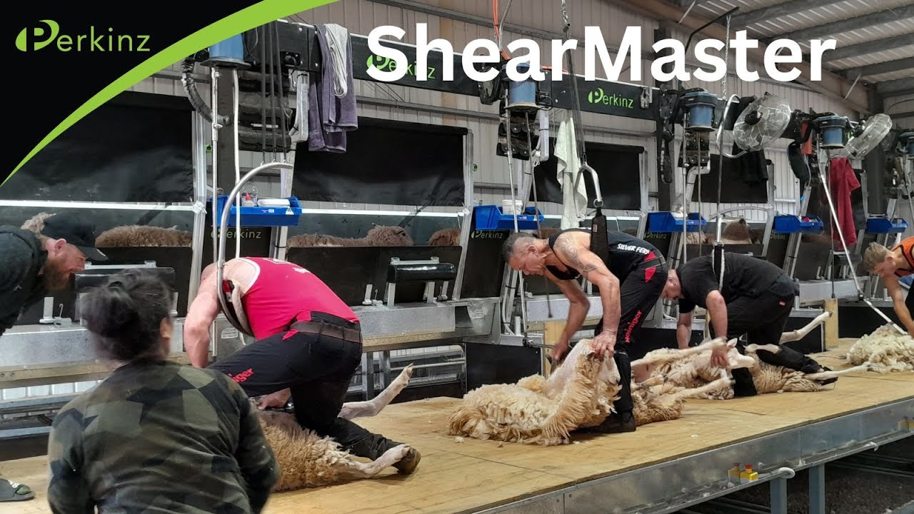 Perkinz ShearMaster 2024