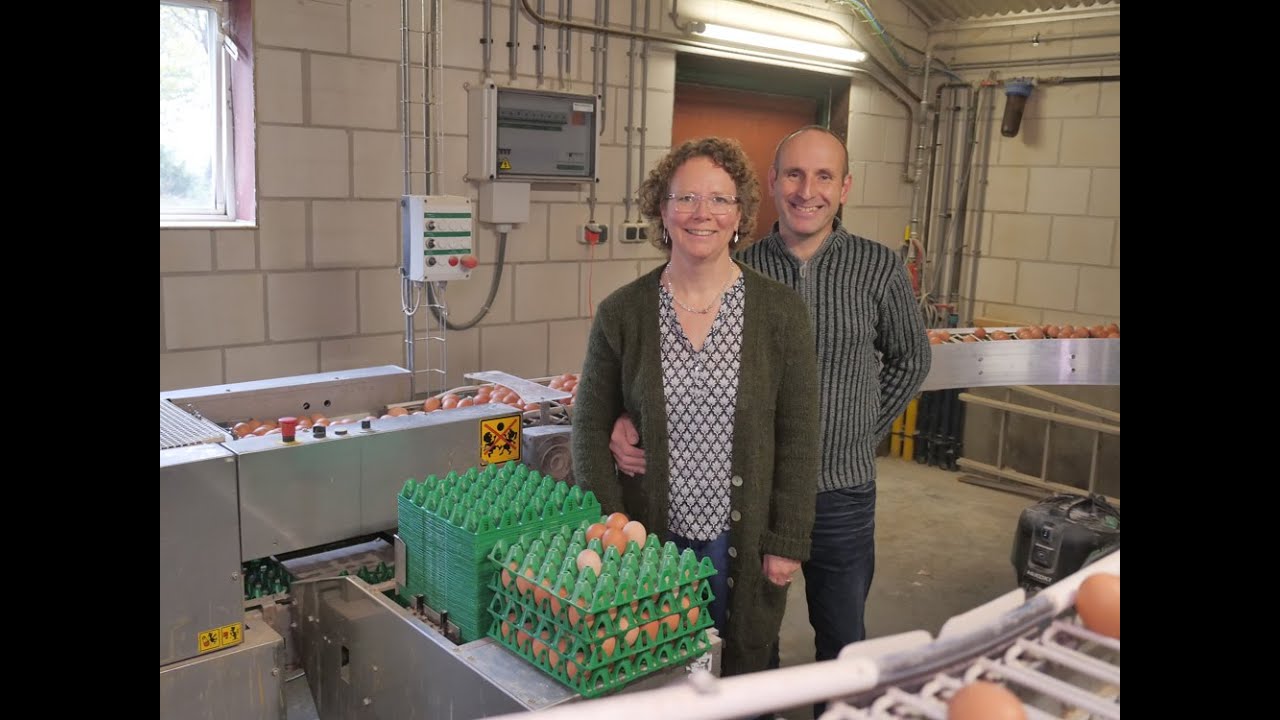 Lagerweij's pluimveebedrijf maakt stappen dankzij intensief begeleidingstraject.