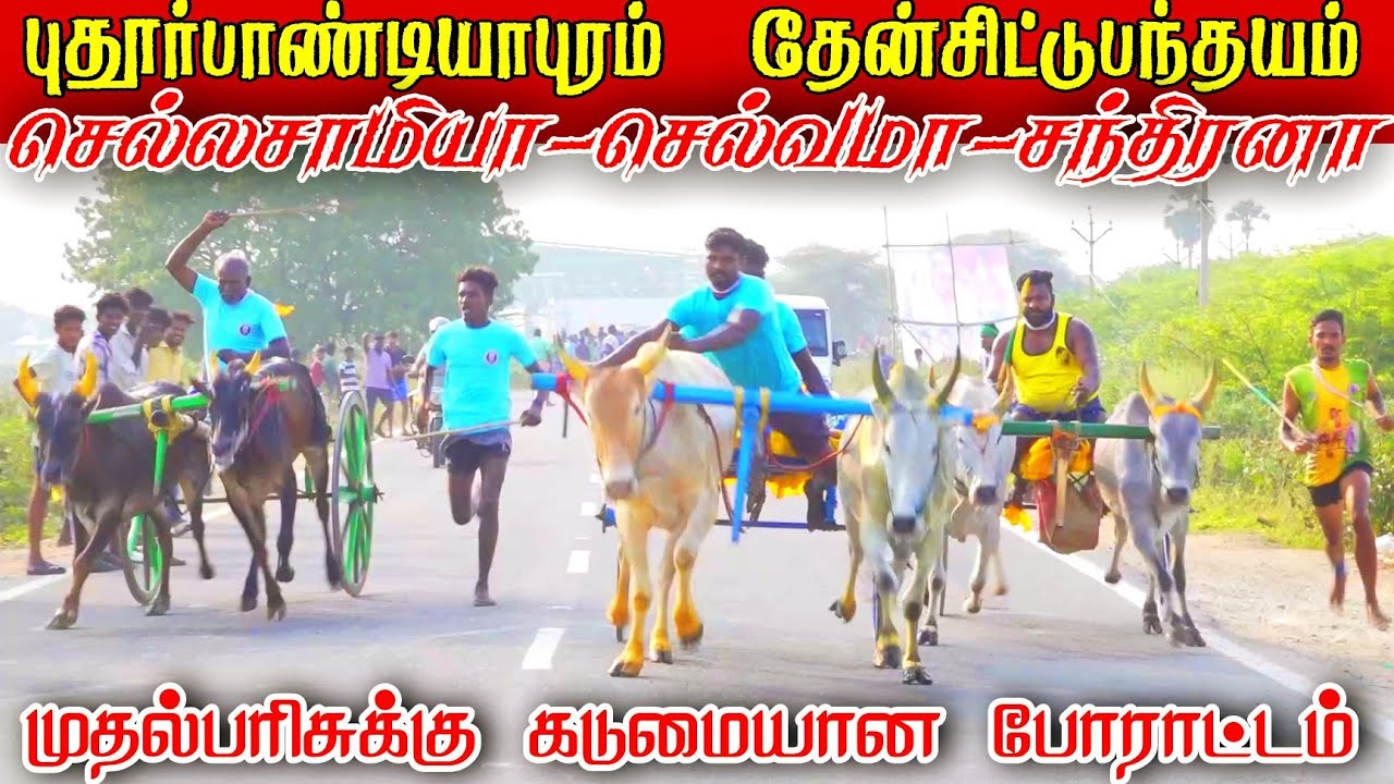 புதூர்பாண்டியாபுரம் தேன்சிட்டு முதல் சுற்று பந்தயம்