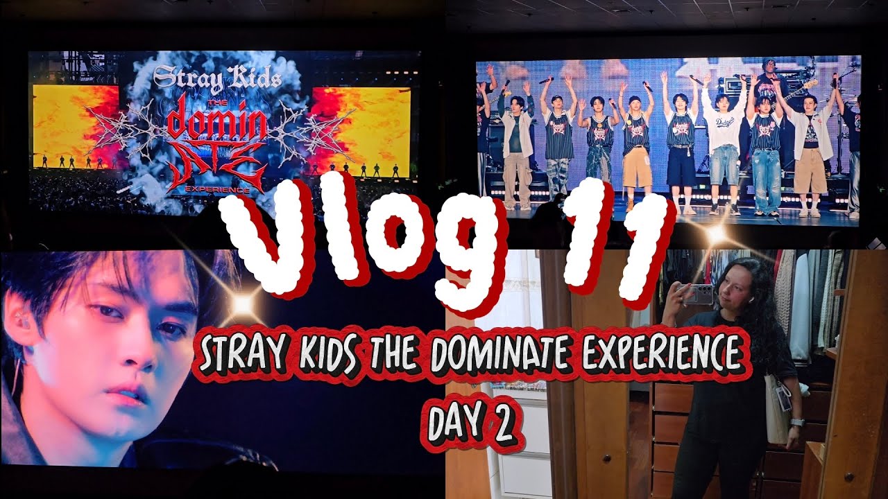 #VLOG 11 l DAY 2 SKZ THE DOMINATE🥰