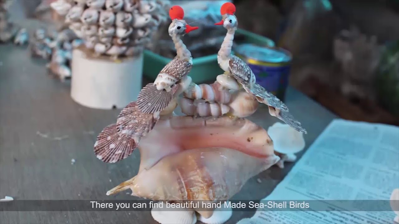 Seashell Art Work - Kanyakumari, Tamil Nadu