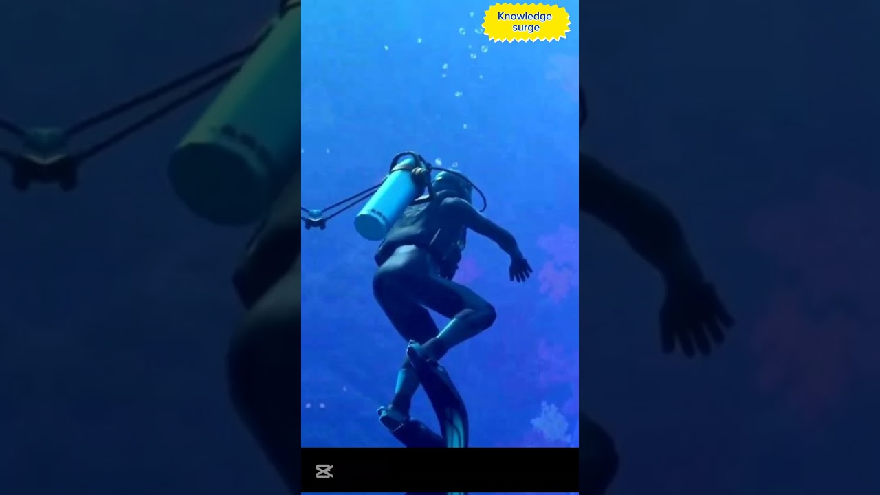 15-Million-Year-Old Fish Found in Australia| Ancient Secrets Revealed! 