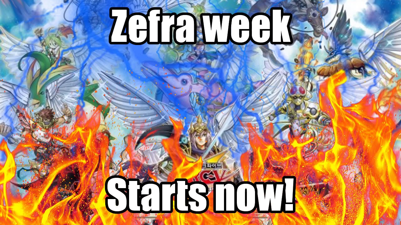 Zefra Week starts NOW!