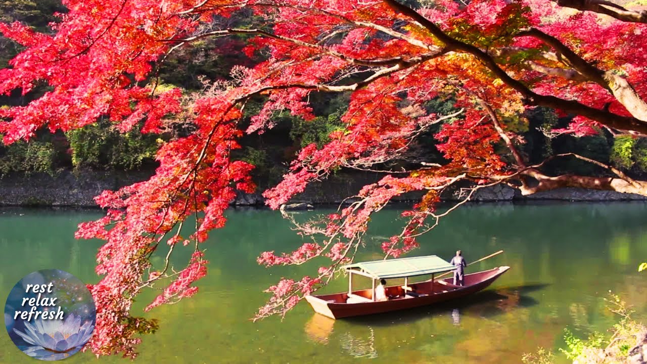Romantic Piano Music with Birds Chirping Sounds & Amazing Scenery - Orchestra Music Instrumental