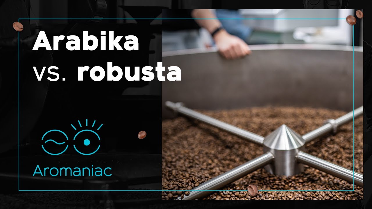 Arabika vs. robusta | Aromaniac