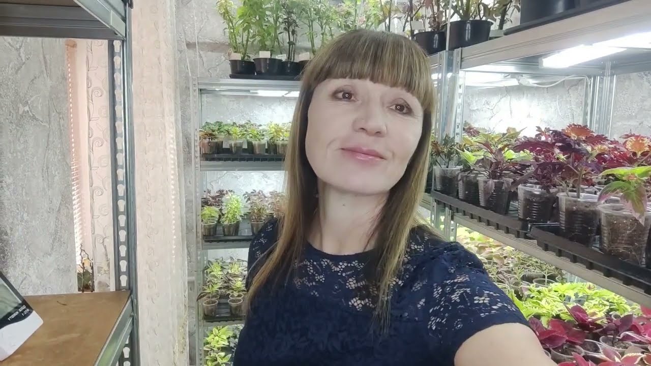 Где купить такие стеллажи для рассады. Какие выбрать? Честный обзор с размерами. Все плюсы и минусы.