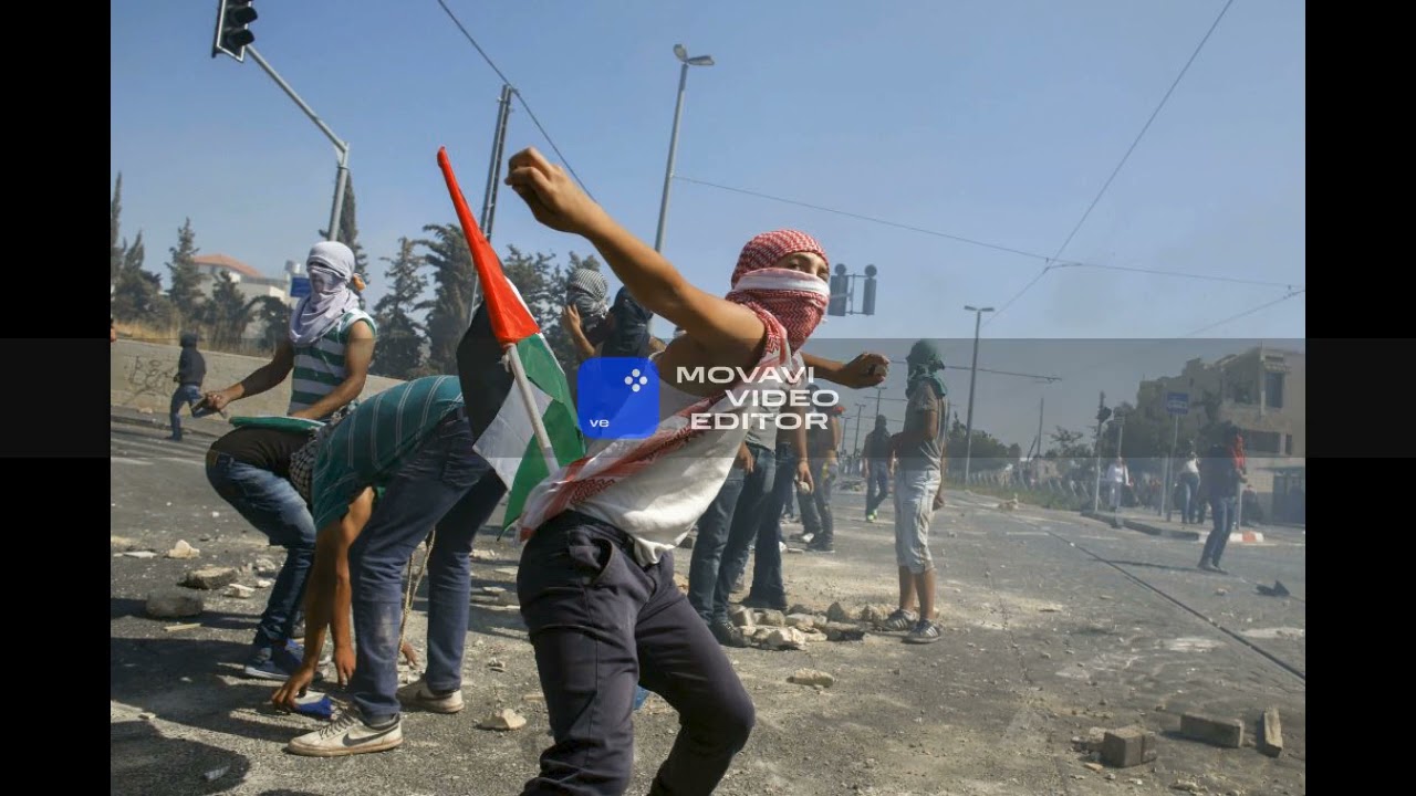 ZWZ - Intifada