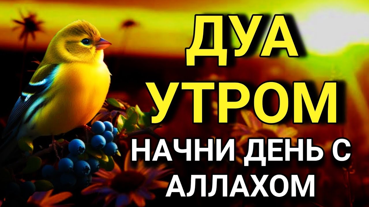 🤲🌟 ДУА УТРОМ — НАЧНИ ДЕНЬ САЛЛАХОМ 🤲💯