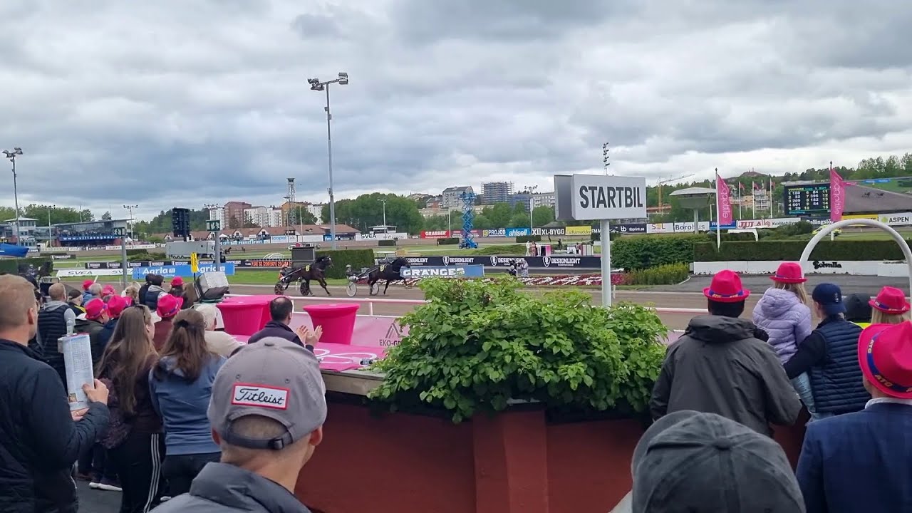 Elitloppet 2022 Solvalla Speed Race Heat 1