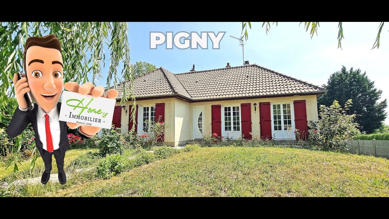 MAISON &agrave; VENDRE &agrave; PIGNY