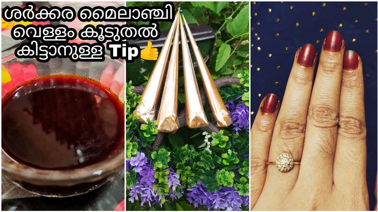 ശർക്കര മൈലാഞ്ചി വെള്ളം കൂടുതൽ കിട്ടാൻ | Nail cone | sharkara mailanji malayalam | pata mailanji |