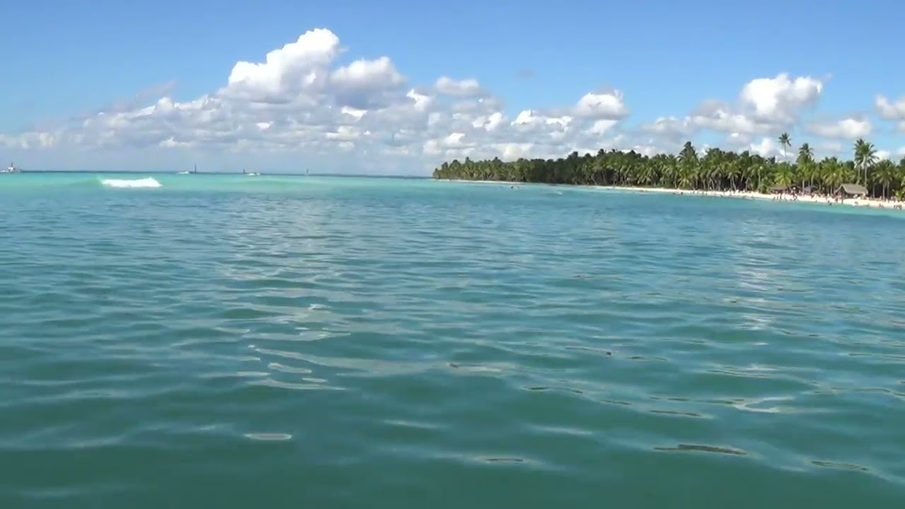Carribean dream