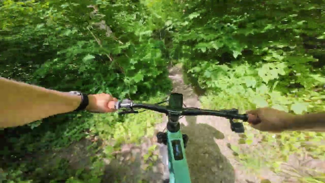 Wienerwald Trails