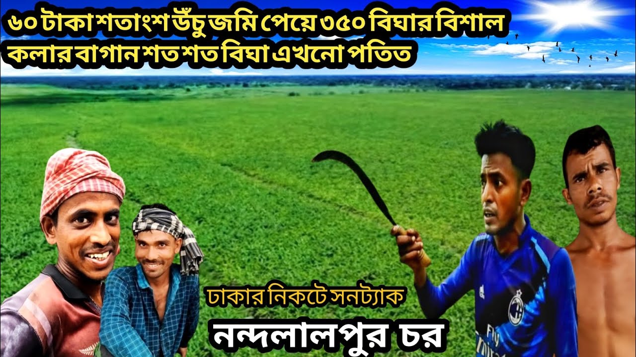 ঢাকার নিকটে ৬০ টাকা শতাংশ উঁচু জমি ভাড়া নিয়ে ৩৫০ বিঘার বিশাল কলার বাগান || এখনো শত শত উঁচু জমি পতিত
