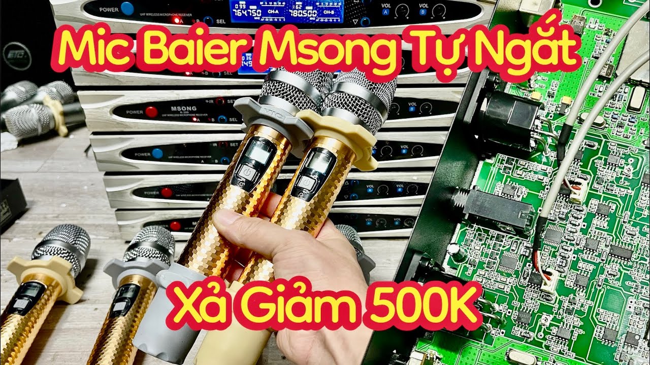Mic Bãi Baier Msong: Dòng Mic 
