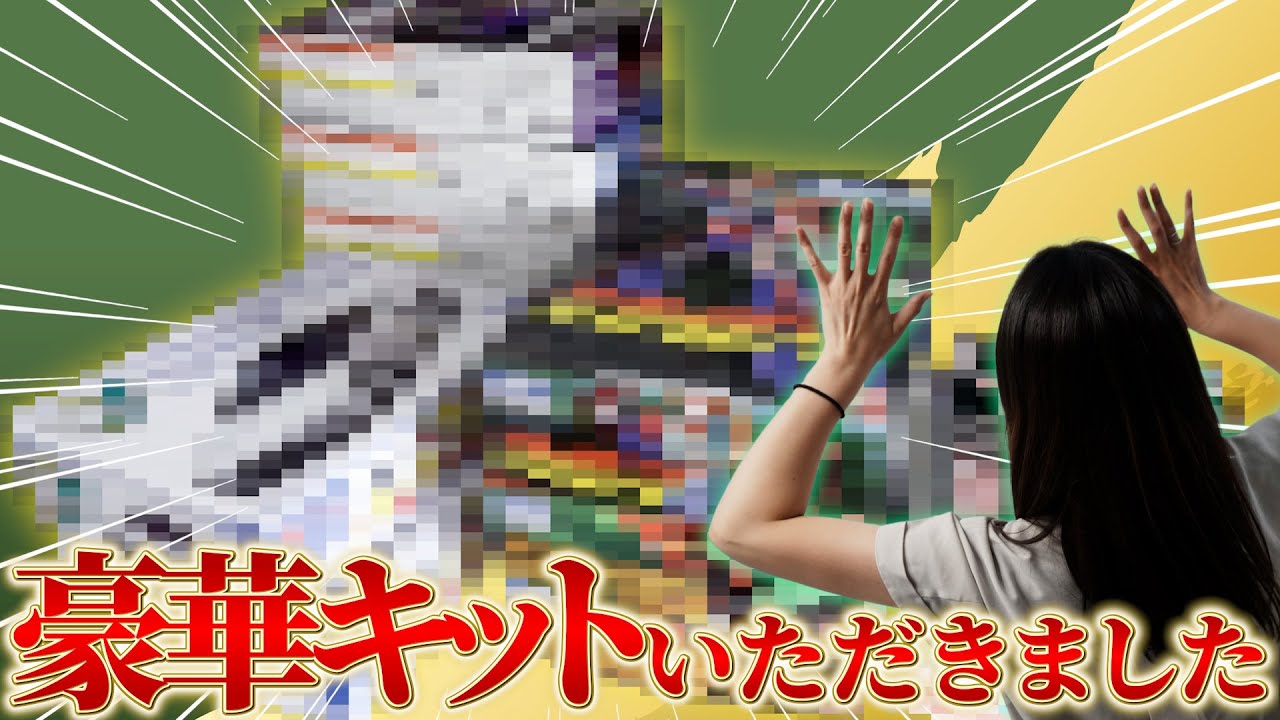 【模型店】大量にプラモをいただきました！あのインパクト抜群な模型店！メガ・ドックさん