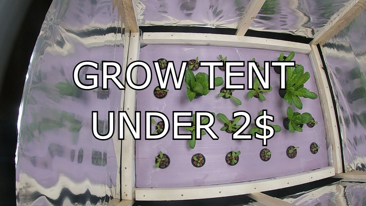 Cheap DIY Grow Tent | Hydroponic Journey Part 3