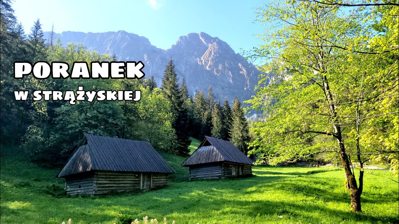 Pusto i rześko - dzień dobry ze Strążyskiej / Zakopane Dolina Strążyska