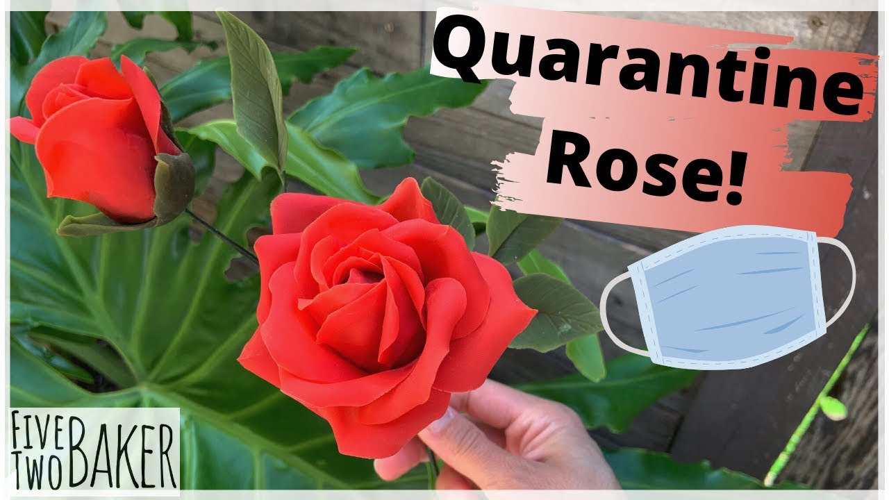No Cutter, No Veiner Sugar Rose ⎸How to make a fondant rose for beginners