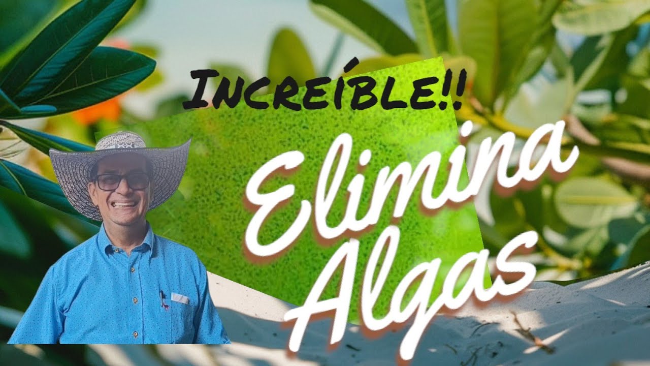 Desaparecer las algas verdes