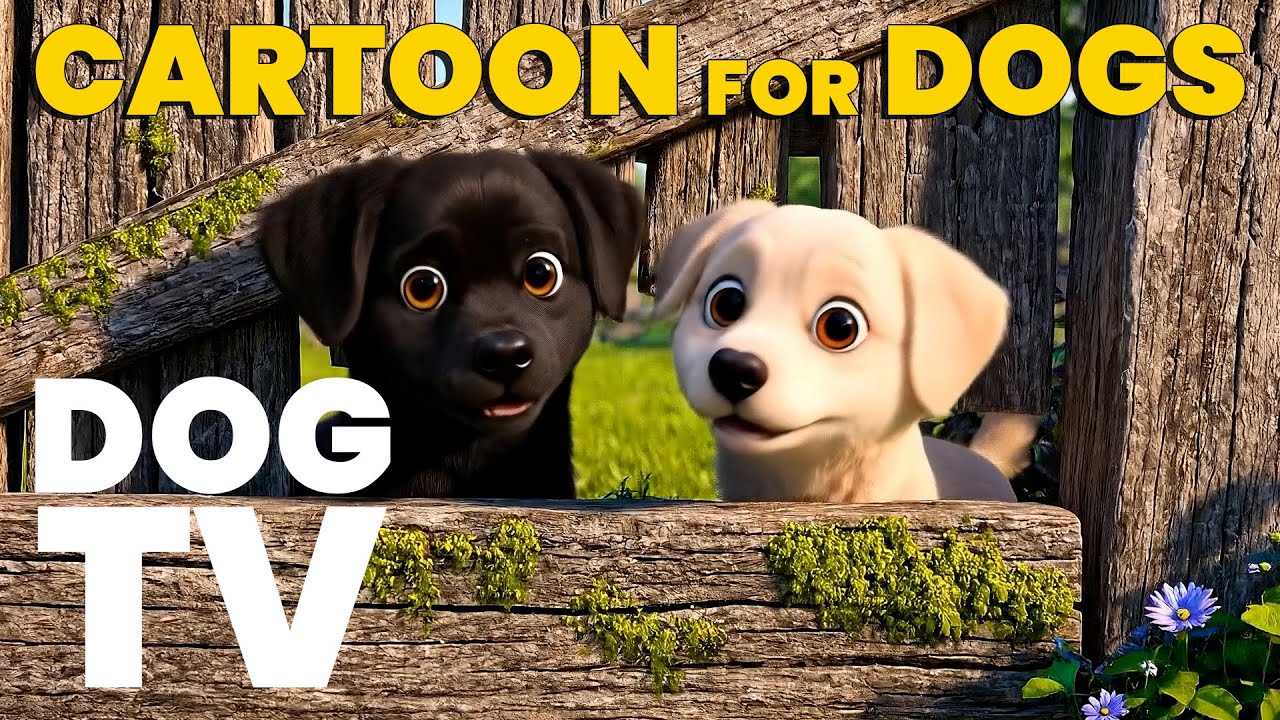 Cartoons for Dogs 🐶 | Dog TV Animation to Keep Dogs Calm & Happy - Calming Music for Dogs