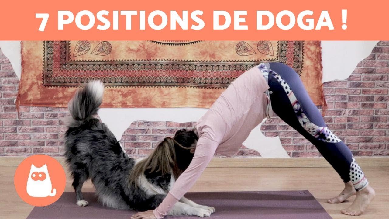 COURS DE YOGA AVEC SON CHIEN - 7 POSITIONS DE DOGA