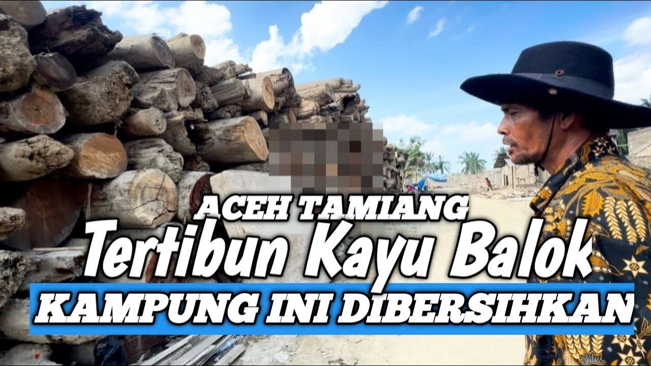Sudah Dibersihkan‼️ Kayu-Kayu Besar yang Pernah Mengubur Kampung Kami”Pasca Banjir Aceh Tamiang